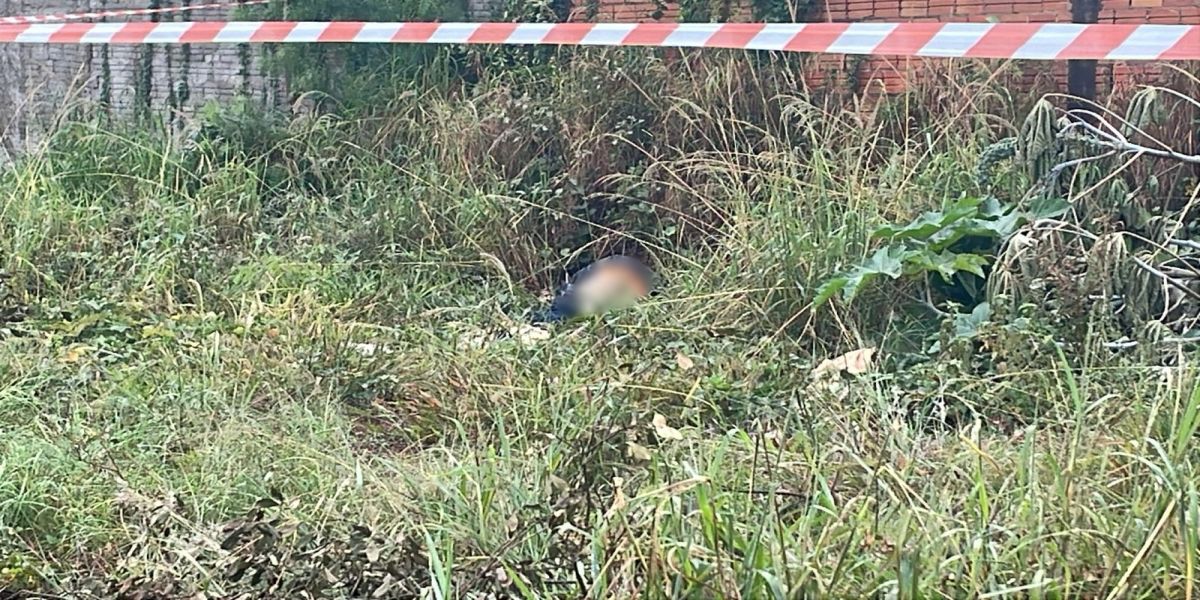 Homem é encontrado morto com sinais de agressão em terreno baldio de Cascavel