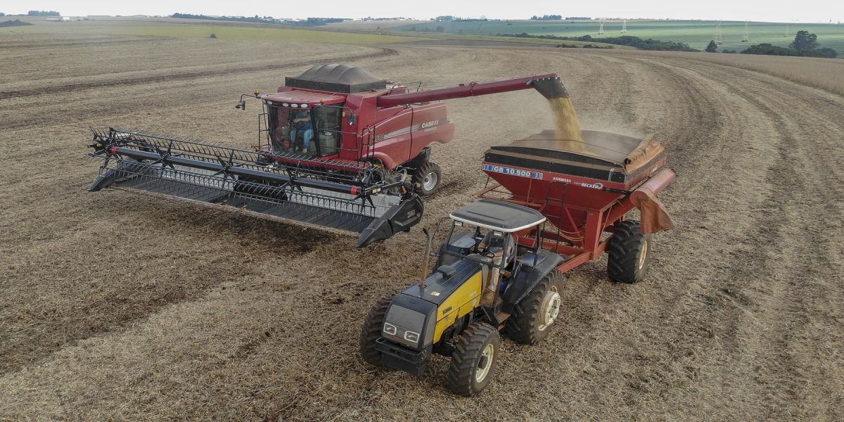 Guerra tarifária global pode virar oportunidade para produtos do Paraná, afirma Ratinho Junior