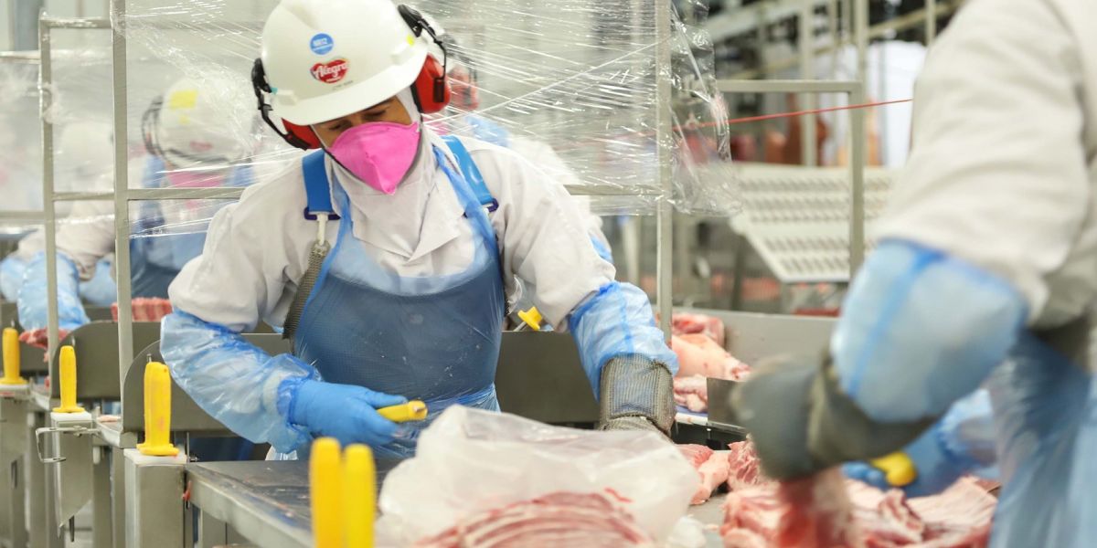 Exportações de carne suína, frangos e automóveis do Paraná saltam mais de 20% em 2025