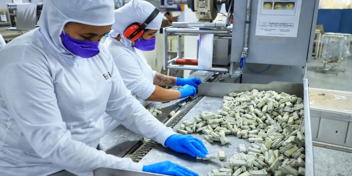 Com 65 empresas, Paraná tem 2º maior número de empregados na indústria de chocolates