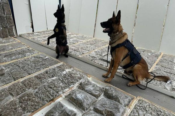 PRF apreende mais de 100 quilos de maconha dentro de portas de madeira no Paraná