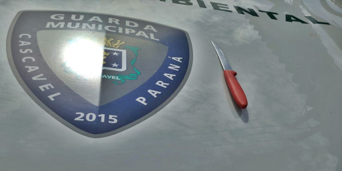 Mulher surta em UBS de Cascavel e puxa faca contra servidora