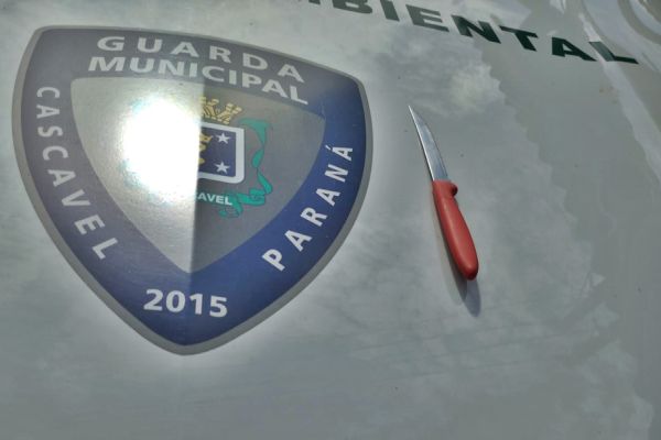 Mulher surta em UBS de Cascavel e puxa faca contra servidora