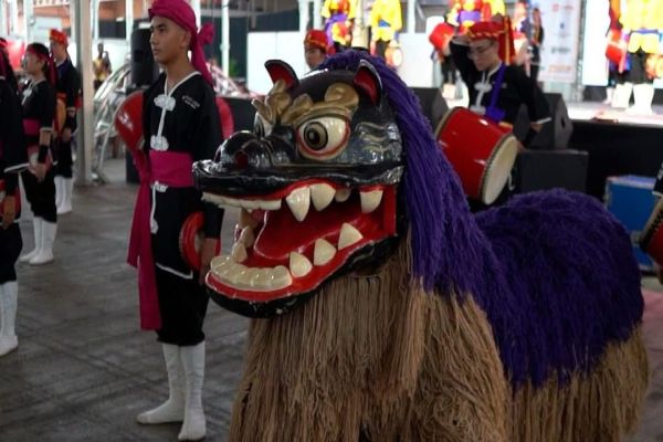 7ª Nipofest reserva espetáculo de cores e sons para todas as idades