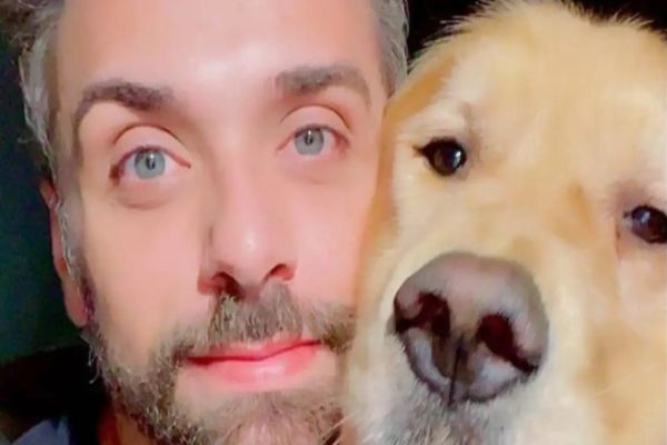 Após caso Joca, Senado aprova regras para transporte aéreo de animais