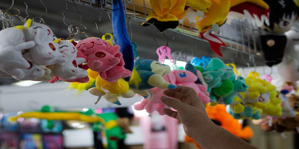 Feira de produtos orientais é atrativo imperdível da 7ª Nipofest