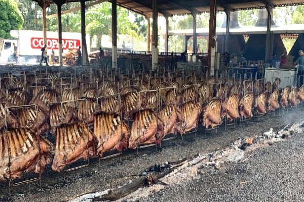 Maior churrasco fogo de chão do mundo chega à 57.ª edição com expectativa de receber mais de 20 mil pessoas em Cascavel