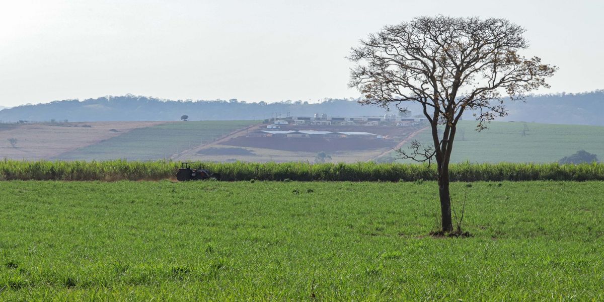 Com nova metodologia, Deral apresenta preços de terras de 2025