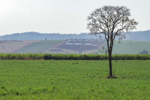 Com nova metodologia, Deral apresenta preços de terras de 2025