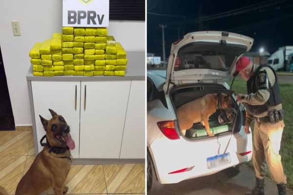 Imagem referente a notícia: Adolescente é flagrado com 40kg de maconha em abordagem na BR-277 em Cascavel