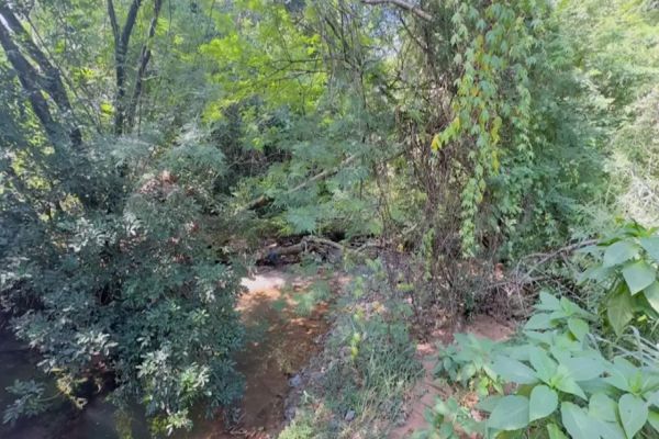 Imagem referente a notícia: Corpo em decomposição é encontrado próximo ao Lago Aratimbó, em Umuarama