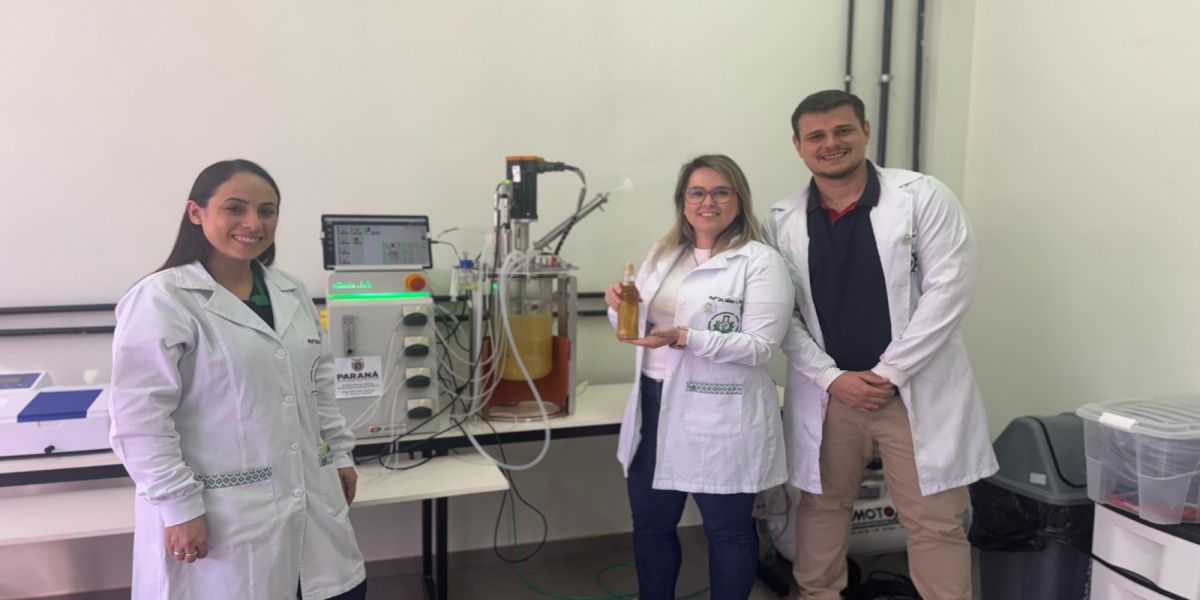 Pesquisadores da Unioeste desenvolvem hidromel funcional com levedura probiótica que une tradição, ciência e saúde