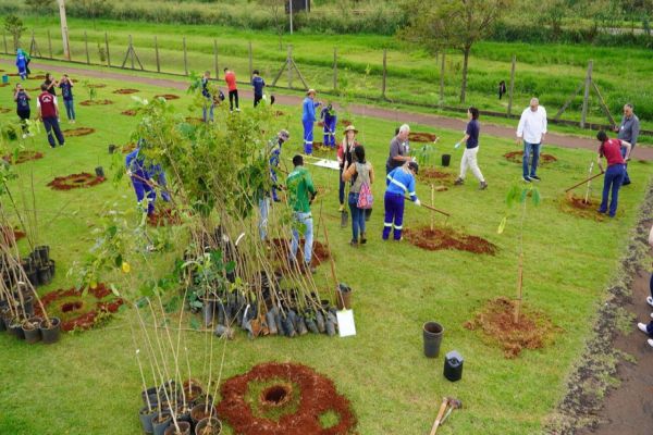 Imagem referente a notícia: TooPlantando: mudas de árvores nativas são cultivadas no Parque do Povo
