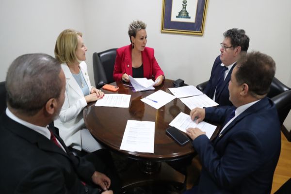 Imagem referente a notícia: Comissão aprova projetos que reforçam identidade cultural do Paraná