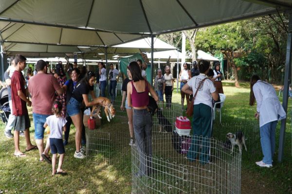 TooAudotando: 40 animais encontram novos lares em feira de adoção