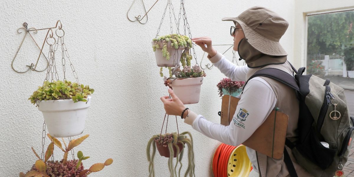 Agentes de Endemias farão vistorias em quase 5 mil imóveis para levantamento de índice de infestação do mosquito Aedes Aegypti em Cascavel