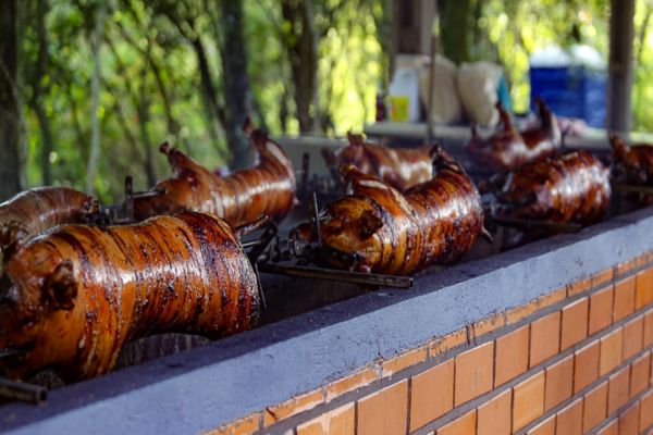 Toledo é referência em festas gastronômicas no campo e na cidade