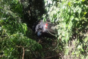 Imagem referente à notícia: Veículo sai da pista e bate em barranco na PR-180 em Nova Aurora