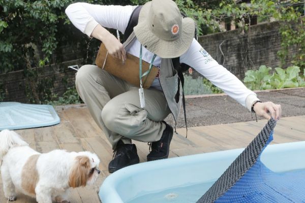 LIRAa: Cascavel tem médio risco para infestação do mosquito Aedes Aegypti