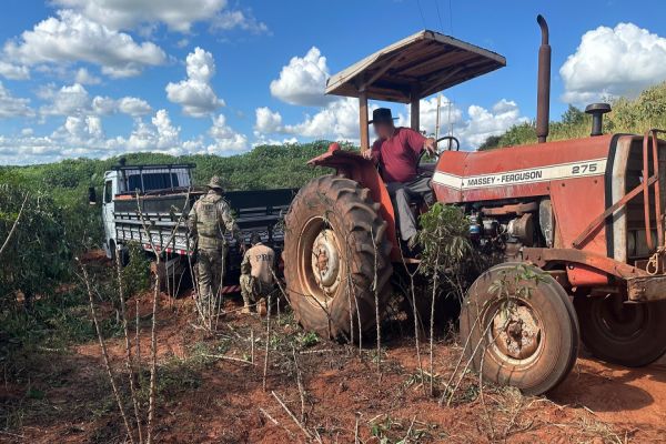 Imagem referente a notícia: Falso carregamento de tijolos escondia 50 mil maços de cigarros contrabandeados em estrada de terra no Paraná