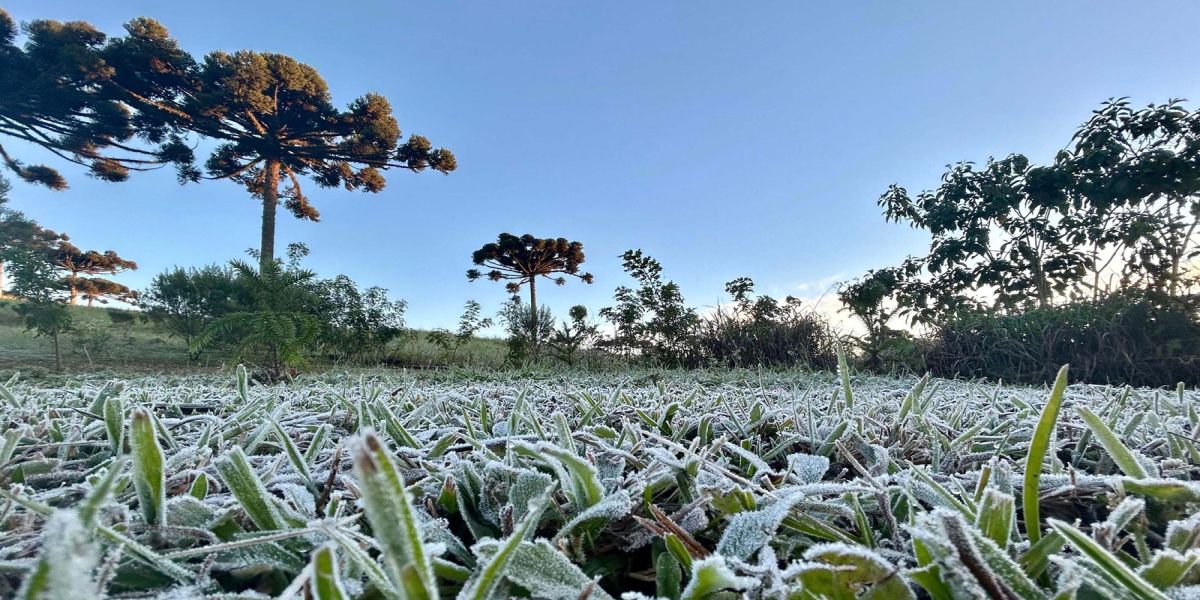 Primeira onda de frio chega ao Paraná semana que vem com termômetros perto de 0ºC
