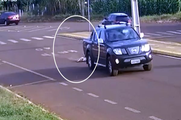 Imagem referente a notícia: Revoltante: Cão é arrastado por caminhonete em alta velocidade em Toledo