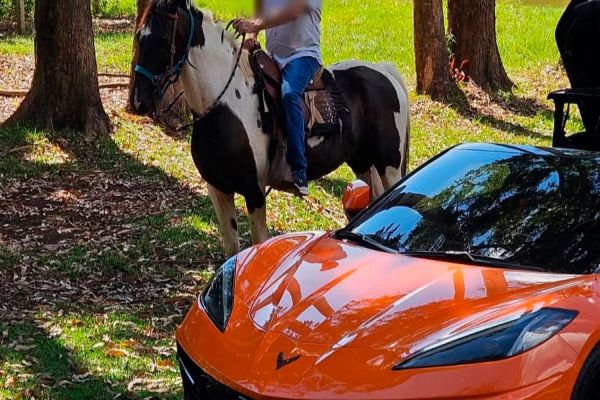 Imagem referente a notícia: Empresário de Cascavel é preso por grilagem de terras em operação nacional da Polícia Civil