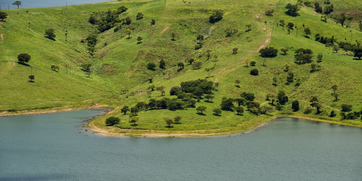 Paraná Conectado: Estado envia à Alep projeto que cria programa para ampliar internet no campo