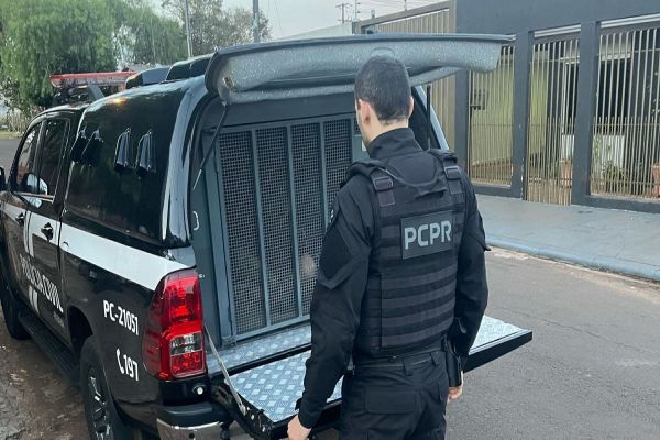 Imagem referente a notícia: GDE da Polícia Civil deflagra operação contra furtos em Cascavel