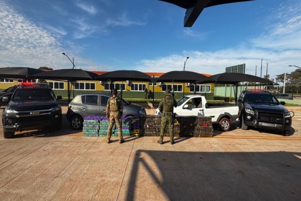 Quase 800 kg de maconha são apreendidos em Cafezal do Sul durante ação conjunta do BPFRON e PF