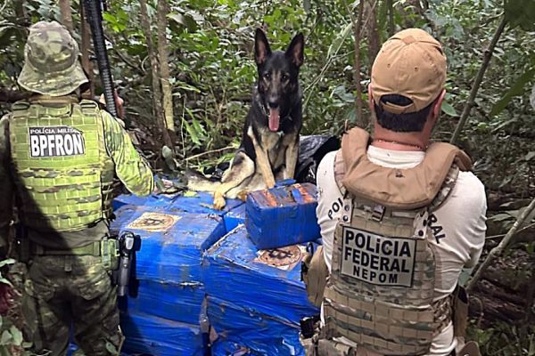 Polícia Federal e PM apreendem mais de 1 tonelada de maconha escondida em mata no oeste do Paraná