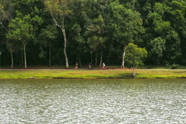 Imagem referente a notícia: Corrida "Ser Feliz Sem Drogas Run" promove saúde e apoio a quem mais precisa
