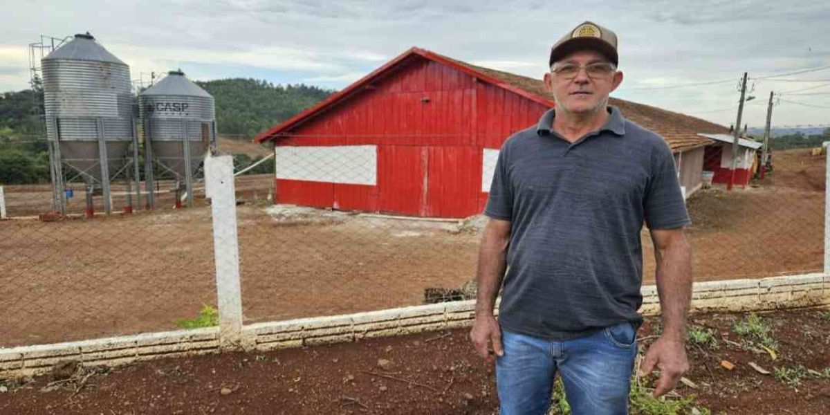 Aves: Cooperado de Santa Lúcia obtém melhor conversão alimentar de abril da Coopavel