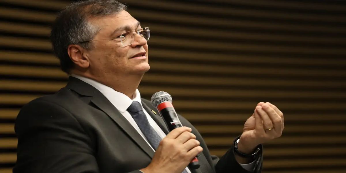 Dino diz que não cabe ao Judiciário redesenhar sistema tributário