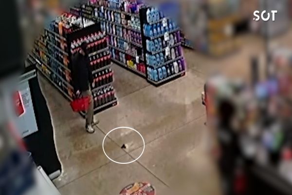 Imagem referente a notícia: Jovens são presos por tráfico após vídeo com simulacro de arma mobilizar a Guarda Municipal em Cascavel