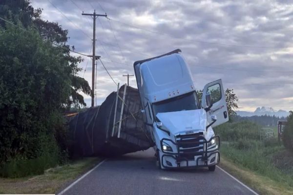 Imagem referente a notícia: Caminhão tomba e solta 250 milhões de abelhas nos Estados Unidos