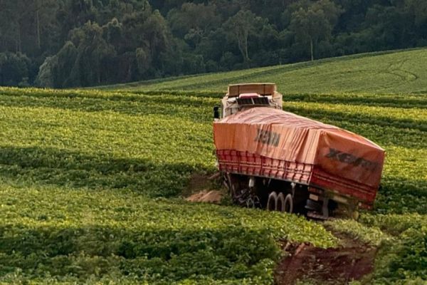 Caminhão desce barranco e invade lavoura após sair da pista na BR-277 em Céu Azul
