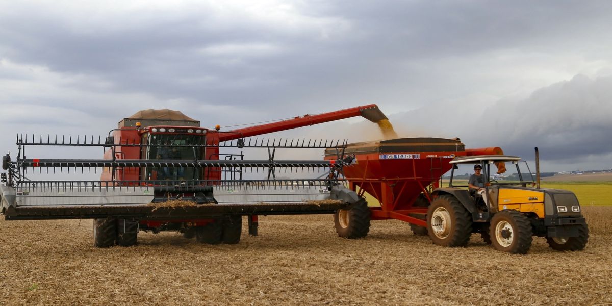 Vazio sanitário da soja inicia nesta segunda no Norte, Noroeste, Centro-Oeste e Oeste