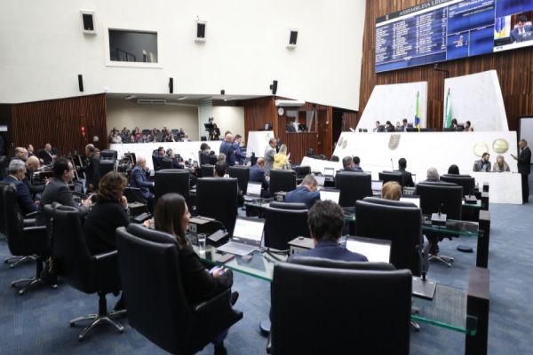 Imagem referente a notícia: Aprovada por unanimidade proposta para acolhimento e proteção dos órfãos do feminicídio