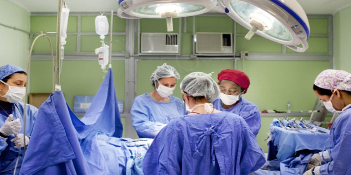 Paraná realiza 2,5 mil transplantes e contribui para recorde nacional do SUS em 2024