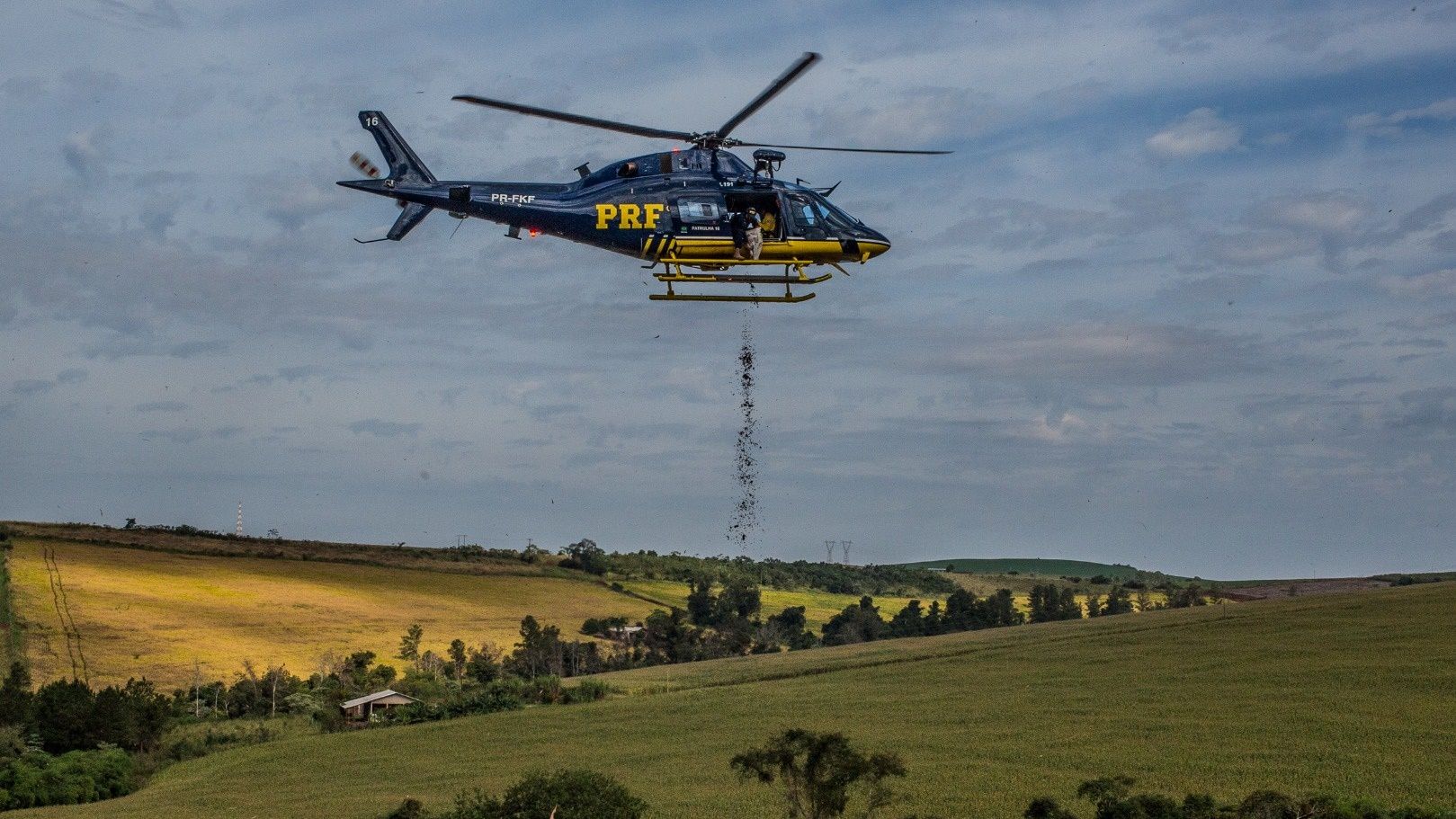 Helicóptero da PRF lança 10 toneladas de sementes para reflorestar áreas da Mata Atlântica no Paraná