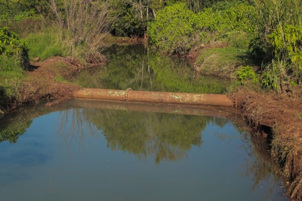 Imagem referente a notícia: Força-tarefa retira mais de 13 toneladas de lixo do Rio Quati em Cascavel