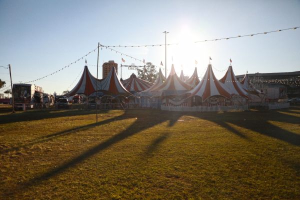 Imagem referente a notícia: CIRCO: Alunos da Rede Municipal recebem ingressos gratuitos para o The Big Circus