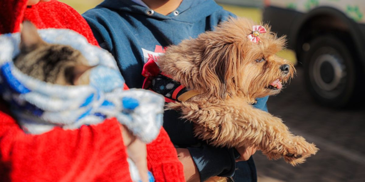 Vacinação Antirrábica gratuita mobiliza tutores de animais em Cascavel