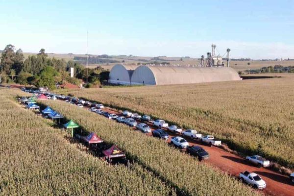 Imagem referente a notícia: Coopavel promove Dia de Campo Milho Safrinha em Corbélia e reúne 120 participantes