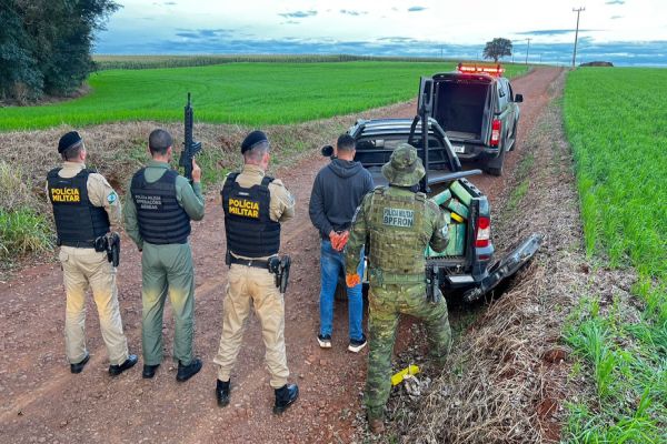 Imagem referente a notícia: Polícia apreende 700 quilos de maconha em ação na zona rural de Santa Tereza do Oeste