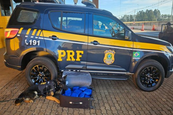 Imagem referente a notícia: Jovem grávida é flagrada com quase 10 quilos de skunk em ônibus na BR-277 em Cascavel