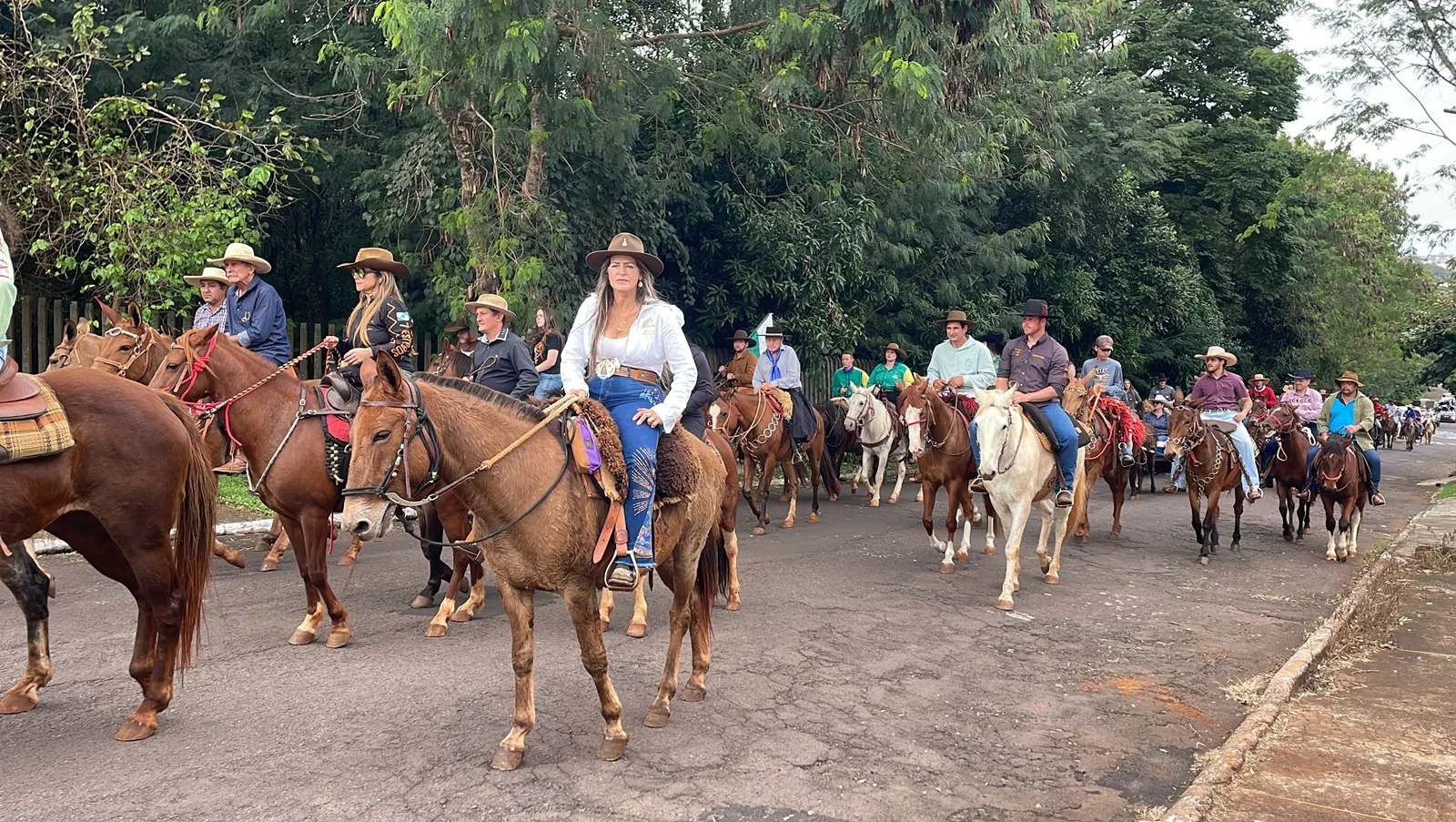 Foto relacionada a notícia: Cavalos Invadem o Centro de Cascavel em espetáculo de solidariedade!