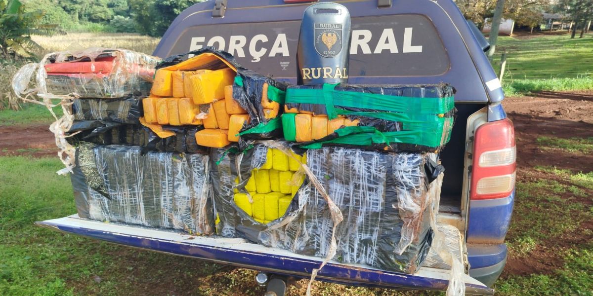 Guarda Municipal apreende maconha escondida em plantação no interior de Cascavel