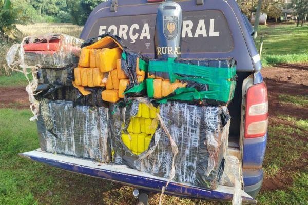 Imagem referente a notícia: Guarda Municipal apreende maconha escondida em plantação no interior de Cascavel